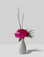Load image into Gallery viewer, Blush Musk | Bold Signature Botanical Set