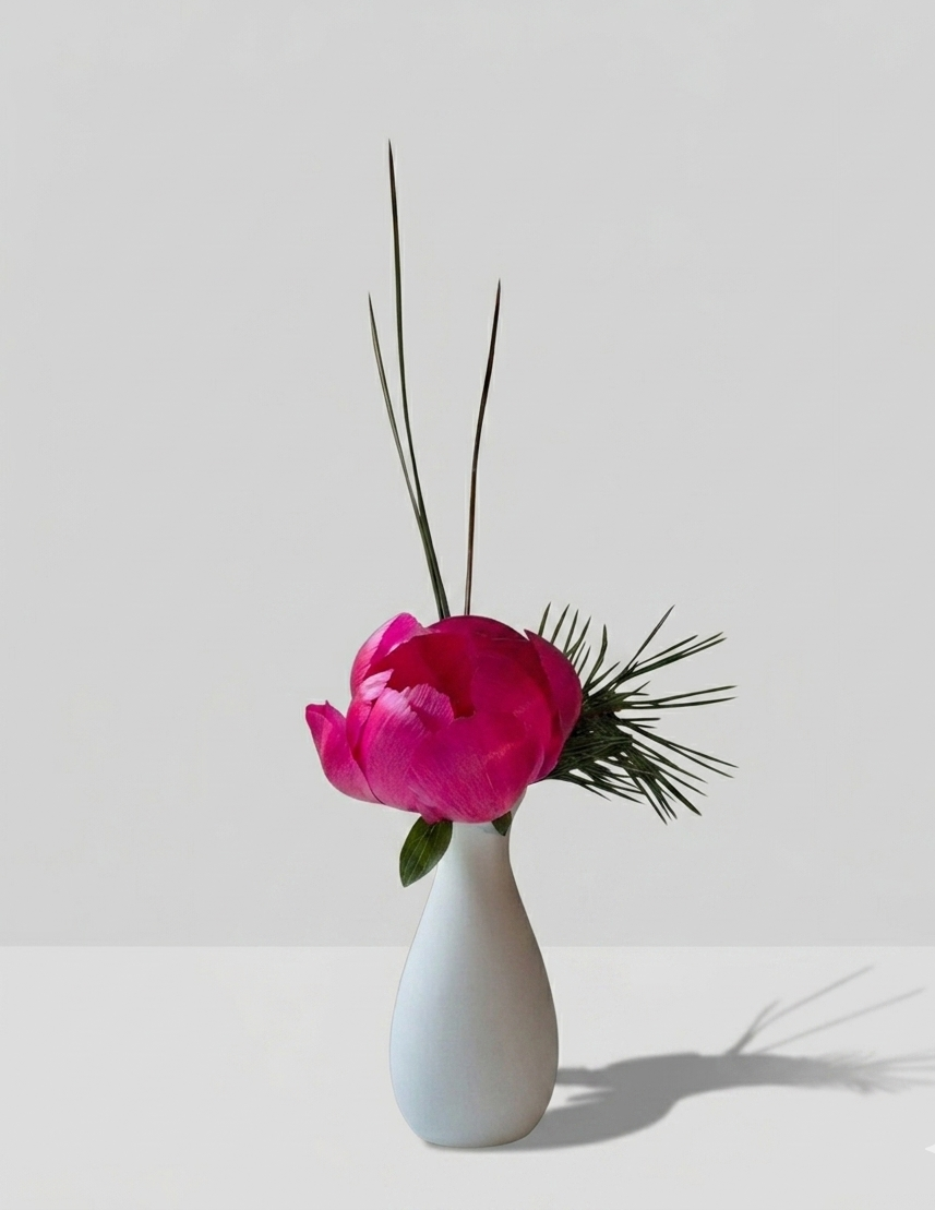 Blush Musk | Bold Signature Botanical Set