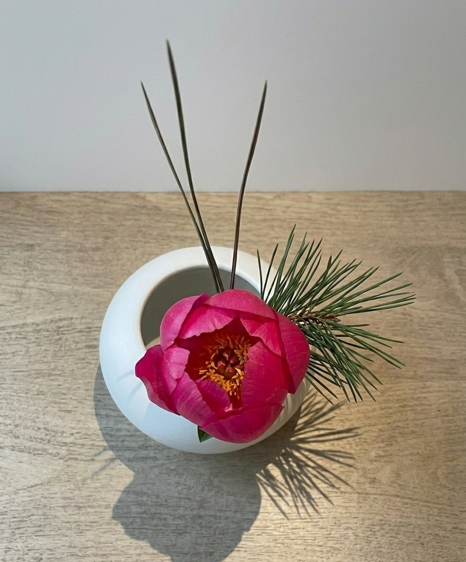 Blush Musk | Bold Signature Botanical Set