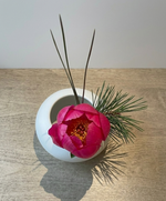 Load image into Gallery viewer, Blush Musk | Bold Signature Botanical Set

