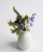 Load image into Gallery viewer, Morning Tea | Minimalist Seasonal Wildflower Set
