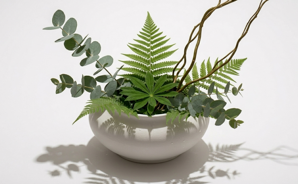 Peaceful evening | verdant woodland foliage set