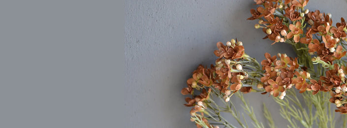 Banner 5